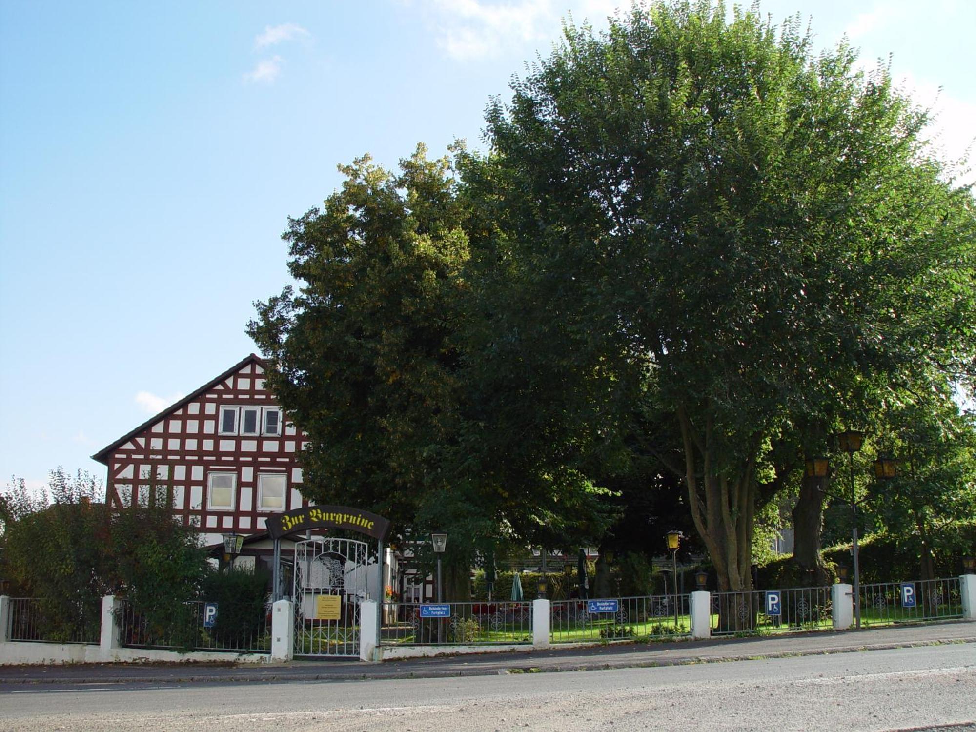 Hotel Zur Burgruine Frauenberg Ebsdorfergrund Exterior foto